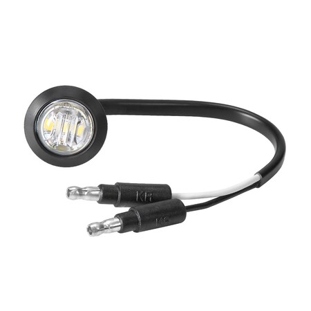 Courtesy Light,Round