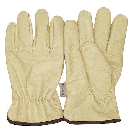 Cold Protection Gloves, Thinsulate Lining, M