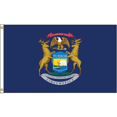 Michigan Flag,5x8 Ft,Nylon