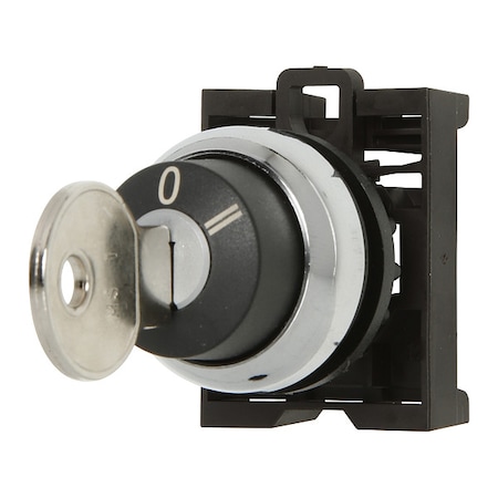 Keyed Selector Switch,Black,Plastic,4" H