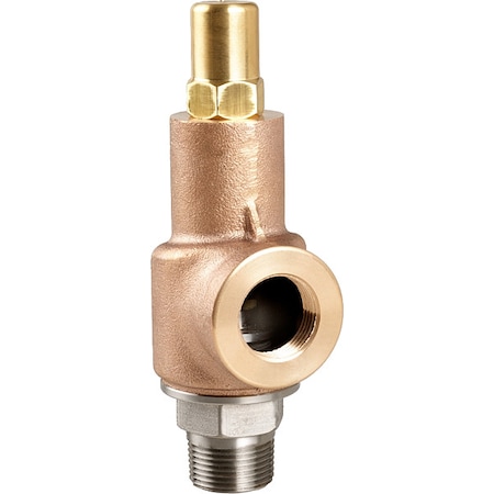 Adjustable Relief Valve,3/4 In,100 psi