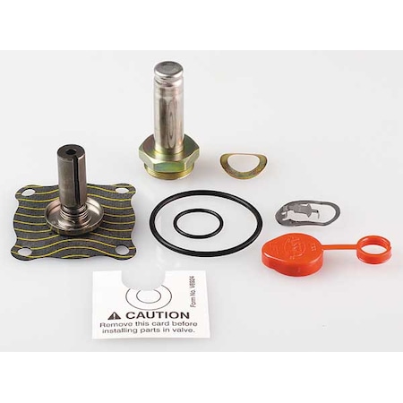 Valve Rebuild Kit,Use w/4EKZ4