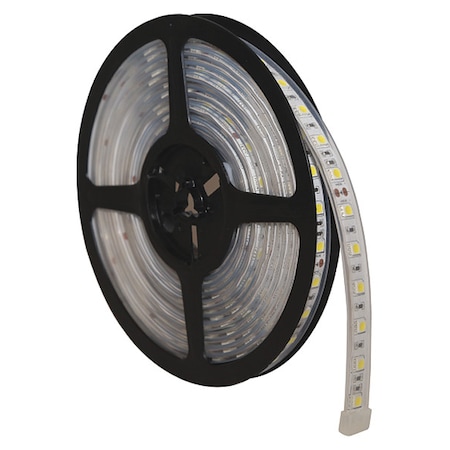 Strip Lighting,Odd Shape,192" L,286 LED