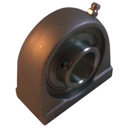 Pillow Block Tapped Base Bearing,Ball,1"