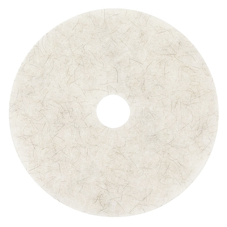 Burnishing Pad,24 In,White,PK5