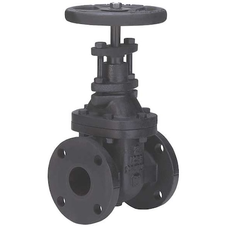 Gate Valve,Class 125,2 In.