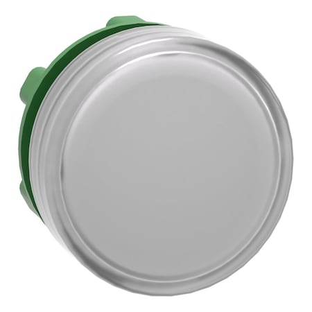 Pilot Light Head,White,LED