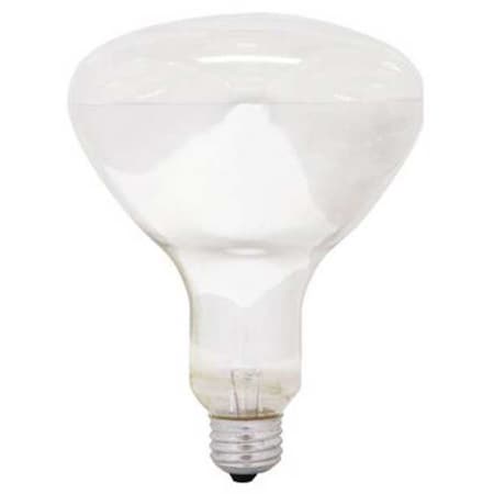 GE LIGHTING 250W, R40 Incandescent Heat Light Bulb