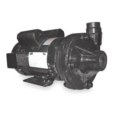 Cast Iron 3 HP Centrifugal Pump 230V