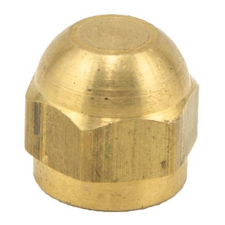 Cap,1/8 In,SAE,Use w/Watts Series SAE-TC