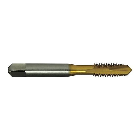 Spiral Point Tap Plug, 2 Flutes