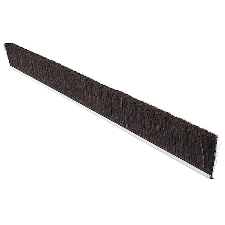 Strip Brush,36 In L,Overall Trim 1 In
