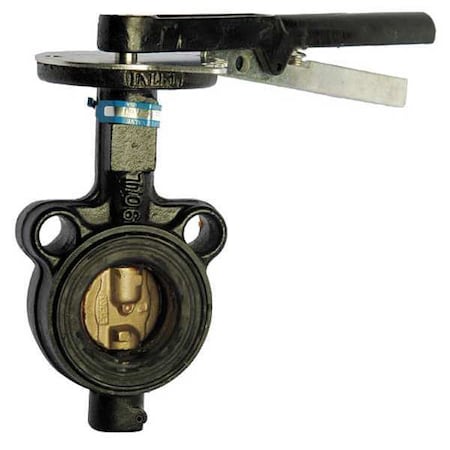 Butterfly Valve,Wafer,Size 4 In