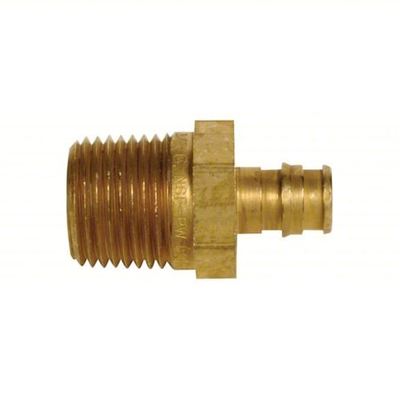 Straight, Brass, Barbed 1/2", NPT 1/2"