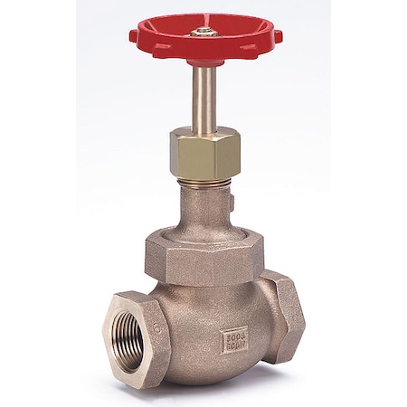 Globe Valve,Class 300,3/4 In.