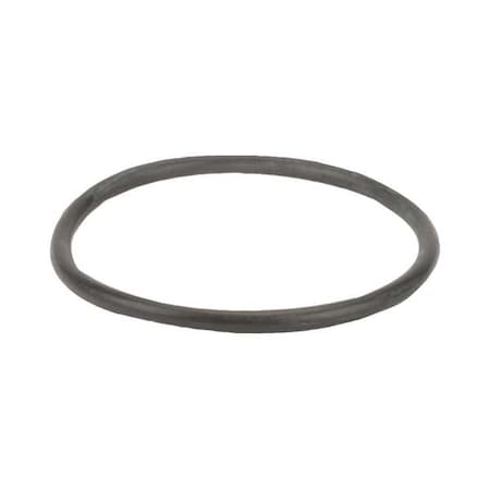 Gasket,Y Strainer,1 1/2-2 In