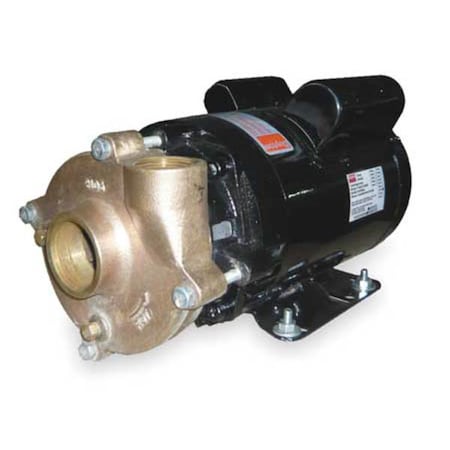 Bronze/Brass 1-1/2 HP Centrifugal Pump 115/208-230V