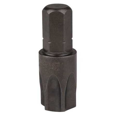 Torsion Bit, SAE, 5/16", Hex, T55, 1-1/4", PK5