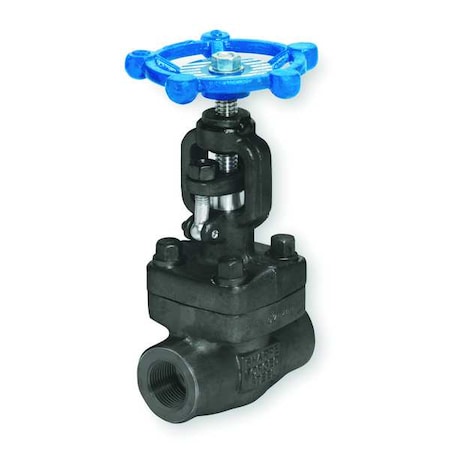 Globe Valve,Class 800,1/4 In.,FNPT