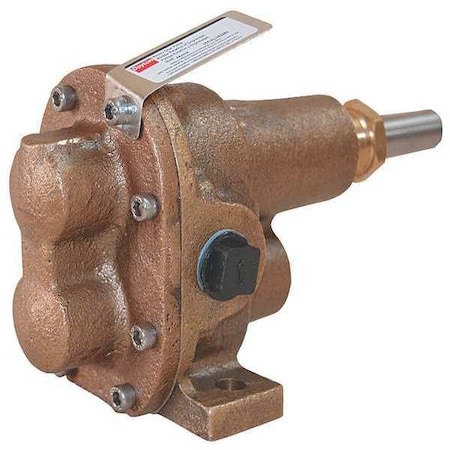 Rotary Gear Pump Head, 1/2 In., 1/3 HP