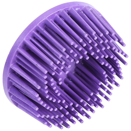 Body Mans Bristle Disc,2 In,PK4