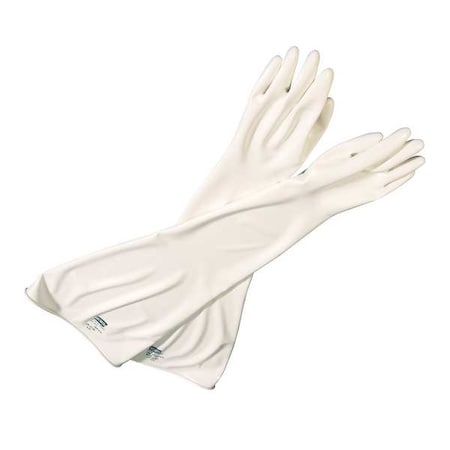 Glove Box Gloves, 1 PR, White