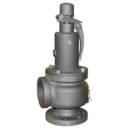 Safety Relief Valve,1 In,10 psi