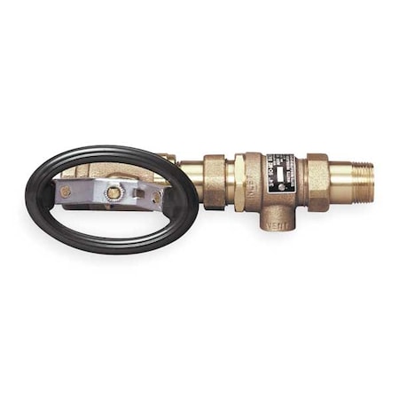 3/4" FNPT x MNPT Brass Dual Check Valve