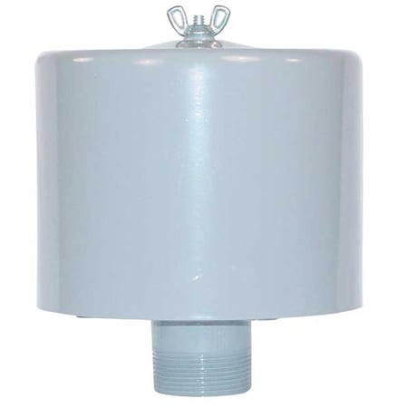 Inlet Filter,1 1/4 MNPT Out,70 Max CFM