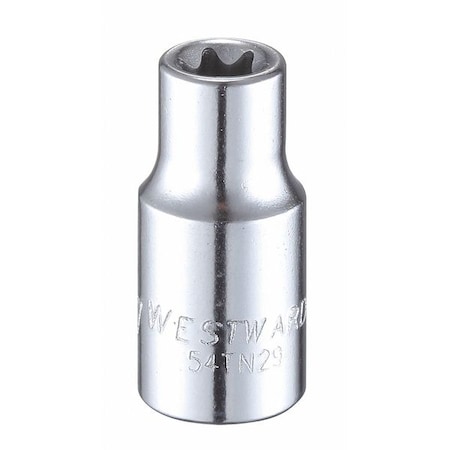 1/4 in Drive Torx(R) Socket SAE E-7 Tip, 1 7/32 in L