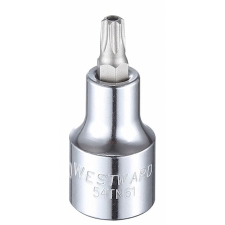 1/2 in Drive Tamper Resistant Torx(R) Socket Bit SAE T40 Tip, 2 1/4 in L