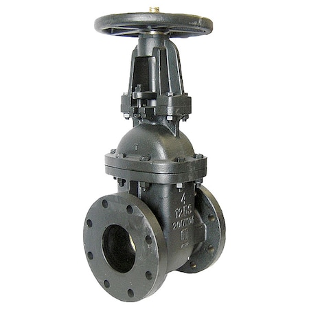 Gate Valve,Class 125,6 In.,Flange