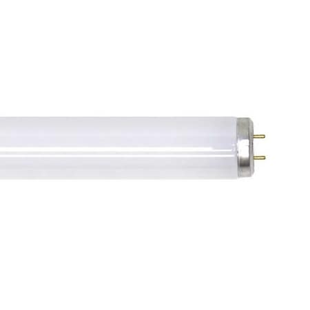 Fluorescent Lamp,T12,Daylight,6500K
