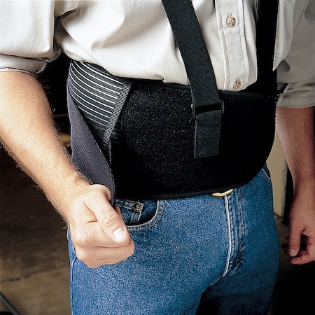 Back Support,Premium,XL