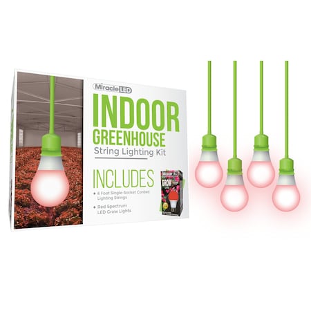 Absolute Daylight Single-Socket Cor,PK4