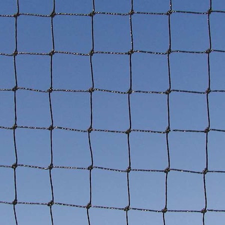 Net,Heavy Duty,Black,3/4",50 x 50 ft.