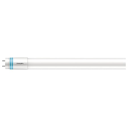 Linear LED Bulb, Med Bi-Pin (G13), T8, 16W