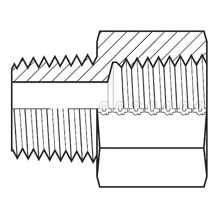 Hose Adapter,1/2",BSPT,1/2",NPT
