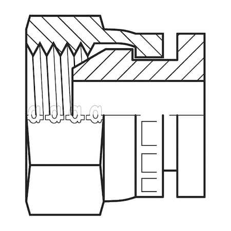 Hose Adapter,3/8",BSPP