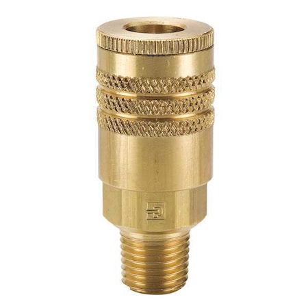 Coupler Body,Brass,MNPT,1/4 In. Pipe