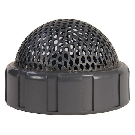Foot Valve Screen, Ball Check, 2", CPVC