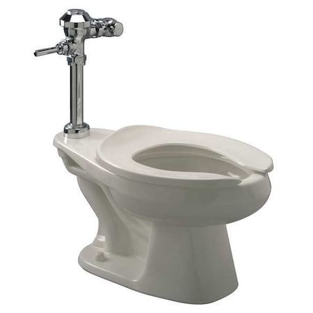 Bedpan Flush Valve Toilet, 1.28 gpf, Flush Valve, Floor Mount, Elongated, White