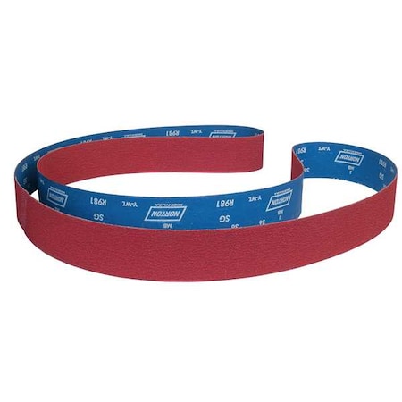 Sanding Belt, 1/4 in W, 24 in L, Coated, Ceramic, 60 Grit, Coarse, R981 SG, Red