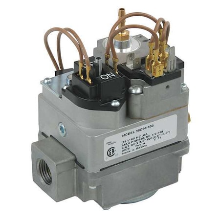 Gas Valve, NG/LP, Hot Surface Ignition and Direct Spark Ignition, 24 V, Delay Slow, 0.6 A