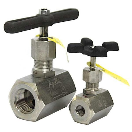 Globe Valve,3/4 In.,FNPT,316 SS