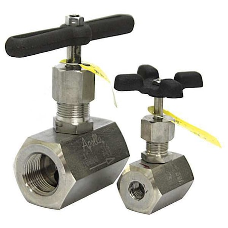 Globe Valve,1/2 In.,FNPT,316 SS