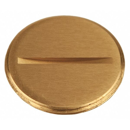 Box Cover, 0 Gang, Brass, Flush Cover Type