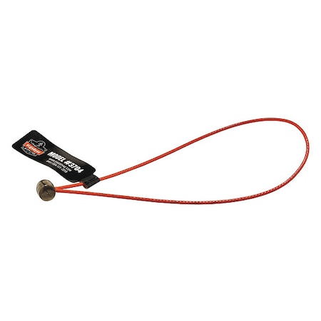 Wire Tool Tail, Stainless Steel, 6 in, Hand Tools, 2 lb