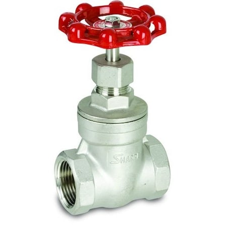 Gate Valve,1/2",316 SS,NPT