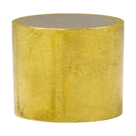 Shielded Magnet,Neodymium,3/8 in.